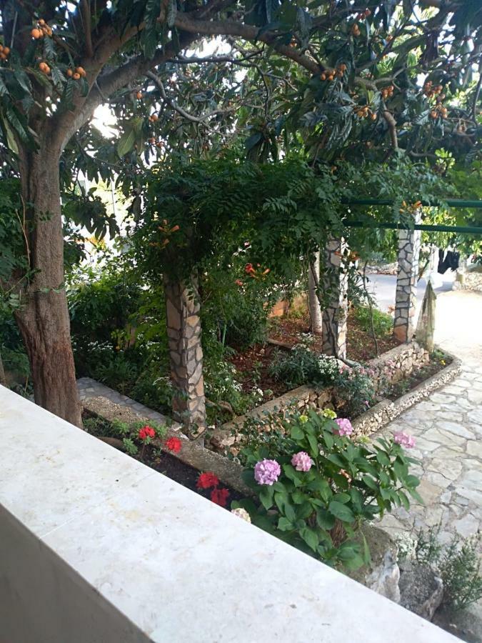 Apartmani Zmiric Primošten Zewnętrze zdjęcie